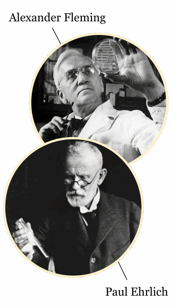 Alexander Fleming (2)